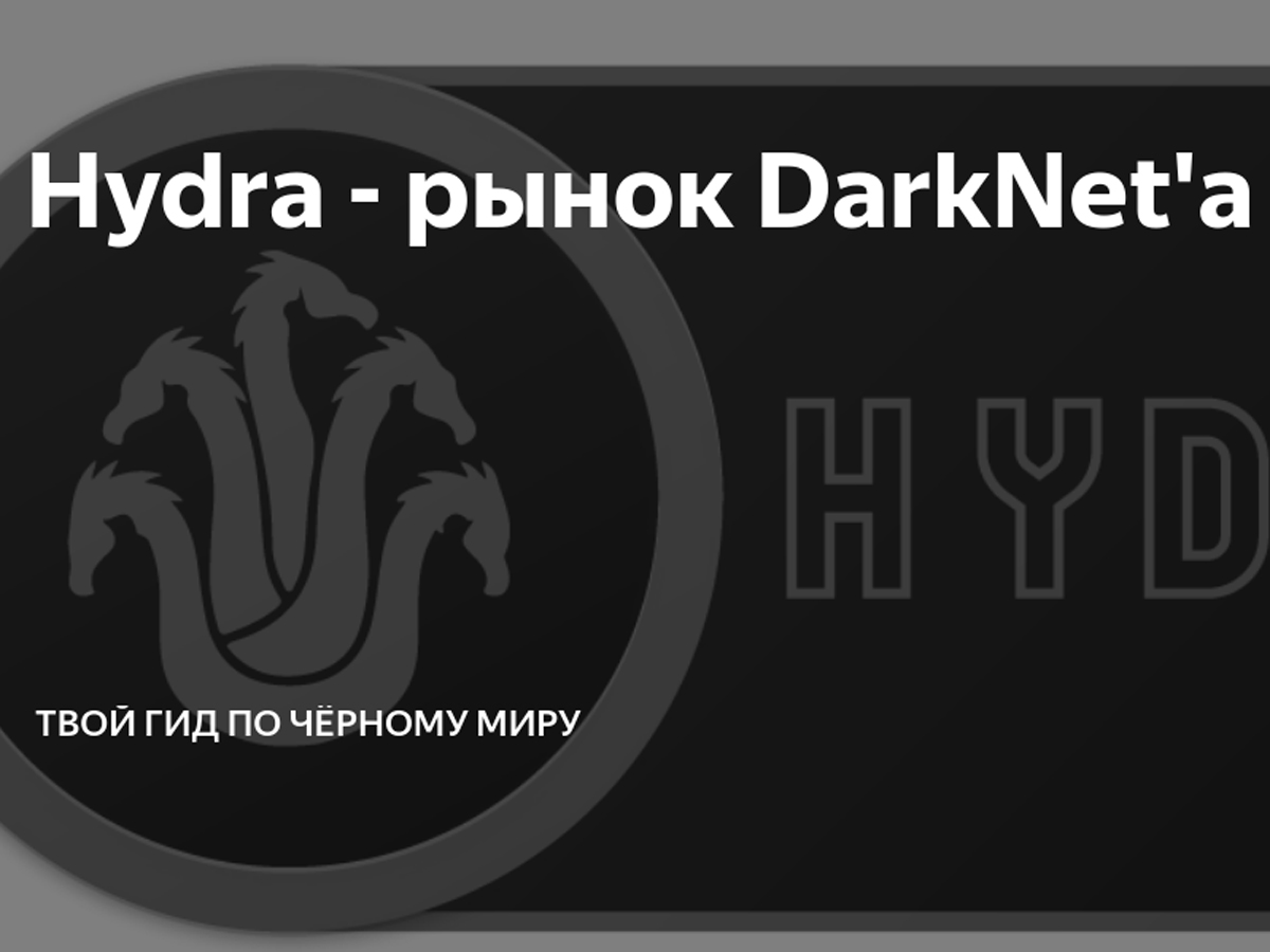 Darknet omg omg